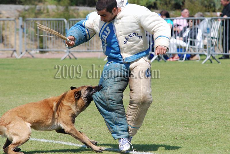 3 EME SELECTIF 2009 GRANDE SYNTHE 570.jpg